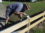 taree-fence-d 001